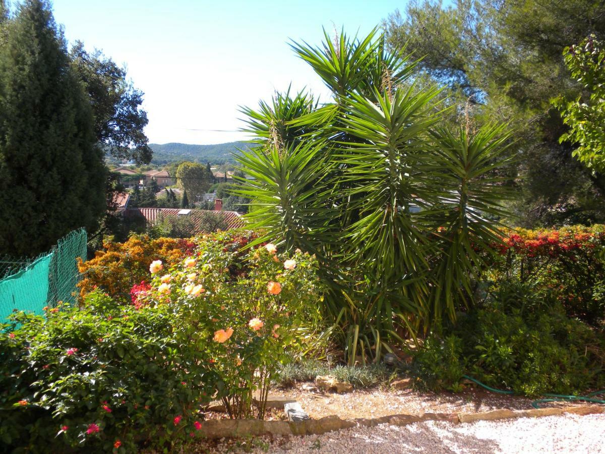 Ecrin De Verdure Sur Le Lavandou - Classement Tourisme 3 Etoiles Exterior foto